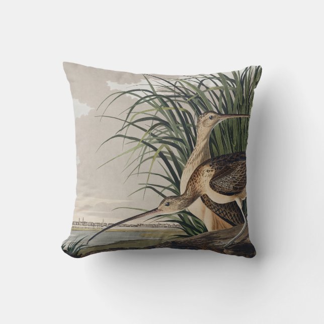 Vintage Audubon Langbekwulp Vogelkunst Kussen (Voorkant)