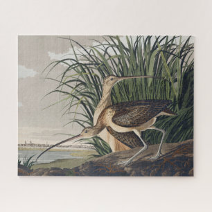 Vintage Audubon Langbekwulp Vogelkunst Legpuzzel