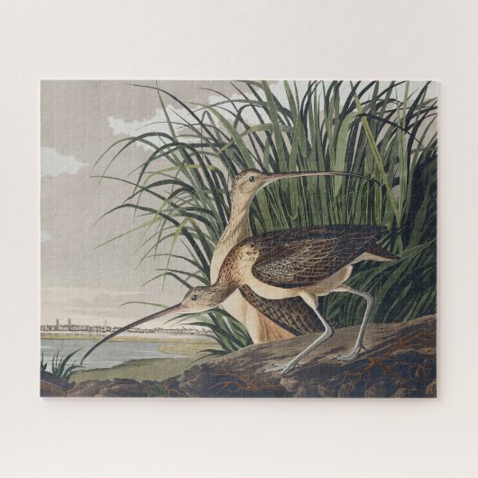 Vintage Audubon Langbekwulp Vogelkunst Legpuzzel (Horizontaal)