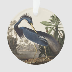 Vintage Audubon Louisiana Reiger Vogel Kunst Ornament