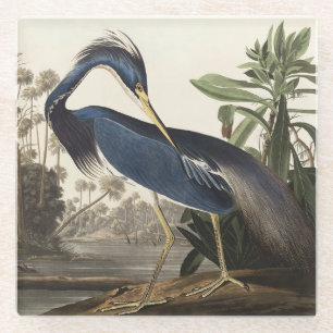Vintage Audubon Louisiana Reiger Vogelkunst Glazen Onderzetter
