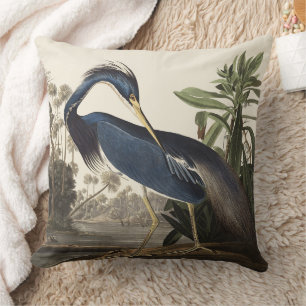 Vintage Audubon Louisiana Reiger Vogelkunst Kussen