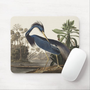 Vintage Audubon Louisiana Reiger Vogelkunst Muismat