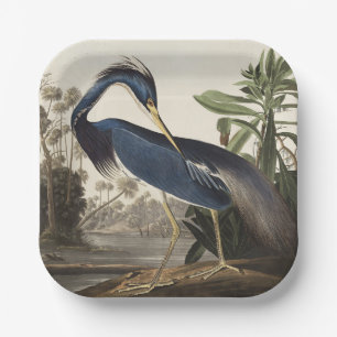 Vintage Audubon Louisiana Reiger Vogelkunst Papieren Bordje