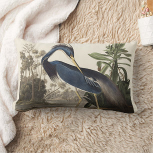 Vintage Audubon Louisianaanse Reiger Vogel Kunst Kussen