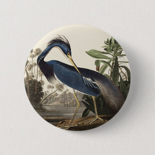 Vintage Audubon Louisianaanse Reiger Vogel Kunst Ronde Button 5,7 Cm