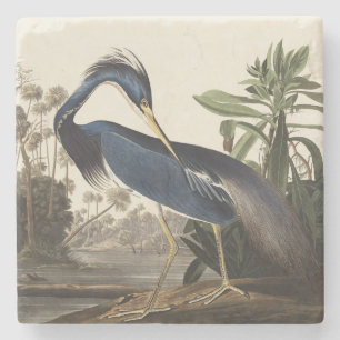 Vintage Audubon Louisianaanse Reiger Vogel Kunst Stenen Onderzetter