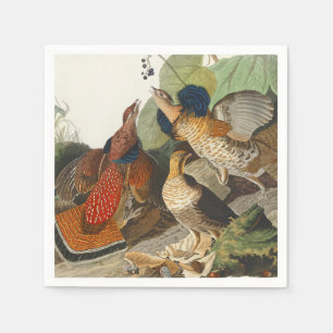 Vintage Audubon Moorse Bosvogel Natuur Kunst Servet