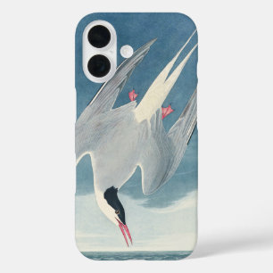 Vintage Audubon Noordse Stern Kustvogelkunst iPhone 16 Hoesje