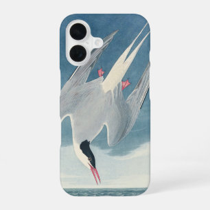 Vintage Audubon Noordse Stern Kustvogelkunst iPhone 16 Hoesje