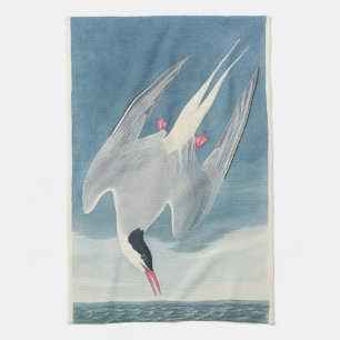 Vintage Audubon Noordse Stern Kustvogelkunst Theedoek