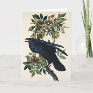 Vintage Audubon Raaf Vogel Natuur Kunst Feestdagen Kaart