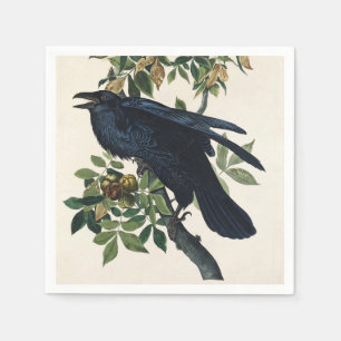Vintage Audubon Raaf Vogel Natuur Kunst Servet