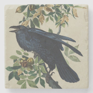Vintage Audubon Raaf Vogel Natuur Kunst Stenen Onderzetter