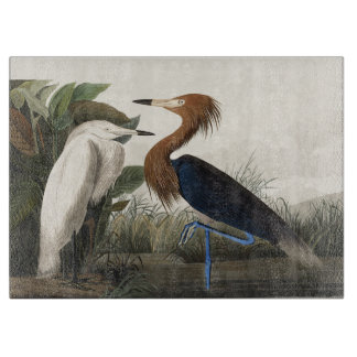 Vintage Audubon Rode Wulp Vogelkunst Snijplank