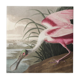 Vintage Audubon Roze Lepelaar Vogelkunst Tegeltje