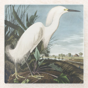 Vintage Audubon Sneeuwreiger Witte Reiger Vogel Ku Glazen Onderzetter