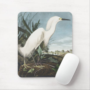 Vintage Audubon Sneeuwreiger Witte Reiger Vogel Ku Muismat