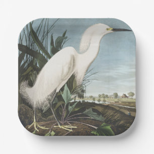 Vintage Audubon Sneeuwreiger Witte Reiger Vogel Ku Papieren Bordje