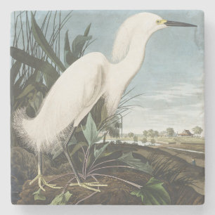 Vintage Audubon Sneeuwreiger Witte Reiger Vogel Ku Stenen Onderzetter