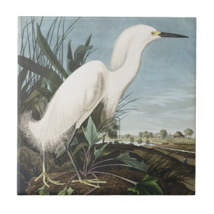 Vintage Audubon Sneeuwreiger Witte Reiger Vogel Ku Tegeltje