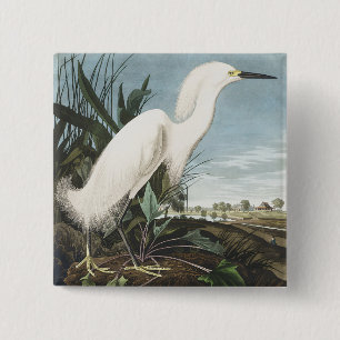 Vintage Audubon Sneeuwreiger Witte Reiger Vogel Ku Vierkante Button 5,1 Cm