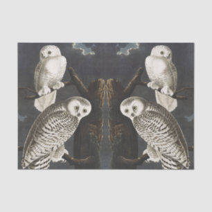 Vintage Audubon Sneeuwuil Nacht Vogel Kunst Tissuepapier