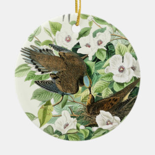 Vintage Audubon Treurduif Vogel Bloem Kunst Keramisch Ornament