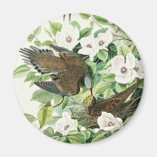 Vintage Audubon Treurduif Vogel Bloem Kunst Magneet