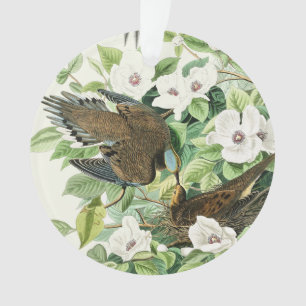 Vintage Audubon Treurduif Vogel Bloem Kunst Ornament