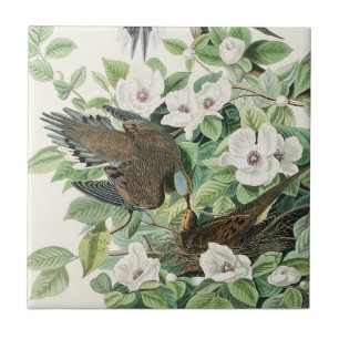 Vintage Audubon Treurduif Vogel Bloem Kunst Tegeltje