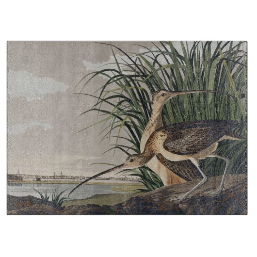 Vintage Audubon-wandsnavel Snijder vogelkunst Snijplank (Voorkant)