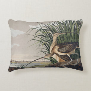 Vintage Audubon-wandsnavelbekstrandloper-vogelkuns Accent Kussen