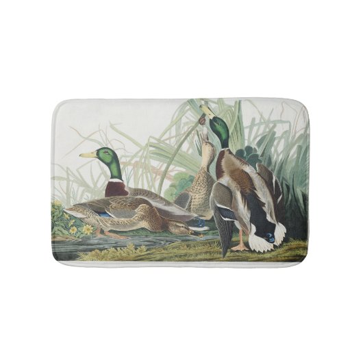 Vintage Audubon Wilde Eend Natuur Kunst Badmat (Voorkant)