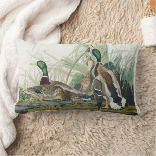 Vintage Audubon Wilde Eend Natuur Kunst Kussen