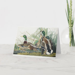 Vintage Audubon-wildlife-kunst over de wilde eend Feestdagen Kaart