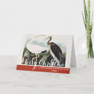 Vintage Audubon Witte Ibis Vogel Natuur Kunst Feestdagen Kaart
