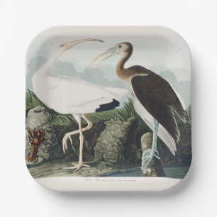 Vintage Audubon Witte Ibis Vogel Natuur Kunst Papieren Bordje