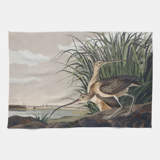 Vintage Audubon Wulp Vogel Kunst Theedoek (Horizontaal)