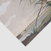 Vintage Audubon Wulp Vogel Kunst Tissuepapier (Detail)