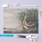 Vintage Audubon Wulp Vogel Kunst Tissuepapier (Craft)