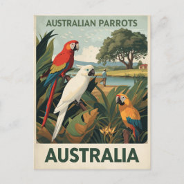 Vintage Australia Parrots Wildlife Briefkaart