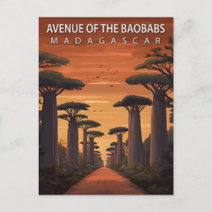 Vintage Avenue of the Baobabs Madagaskar Reis Briefkaart