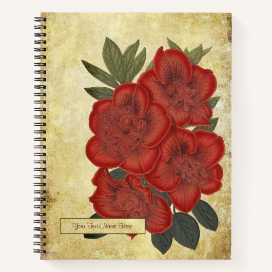 Vintage Azalea (Rhododendron)  Notitieboek (Voorkant)