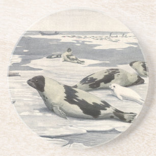 Vintage Baardrobben in Arctische Sneeuw door Louis Zandsteen Onderzetter