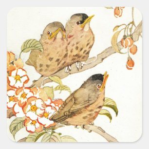 Vintage baby vogels en appelbloesem vierkante sticker