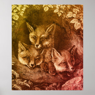 Vintage baby vos bos intelligente vossen vintage b poster