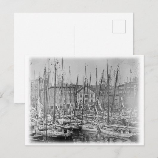 Vintage Baltimore Skipjack-zeilboten Briefkaart (Voorkant / Achterkant)