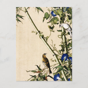 Vintage Bamboe en Blauwe Morgen Glorie Kunst Briefkaart