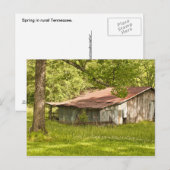 Vintage Barn in Spring Green - Tennessee Briefkaart (Voorkant / Achterkant)